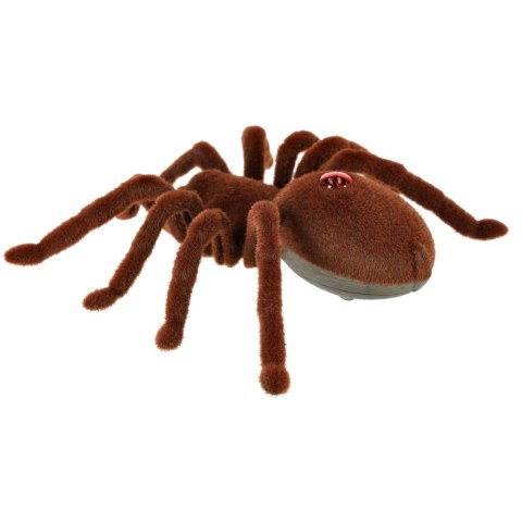 Pająk TARANTULA Zdalnie Sterowany robot + PILOT